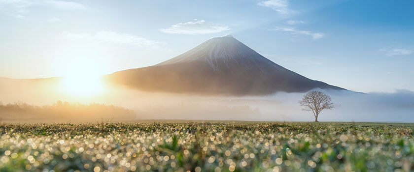 Japan’s equity market: small is beautiful