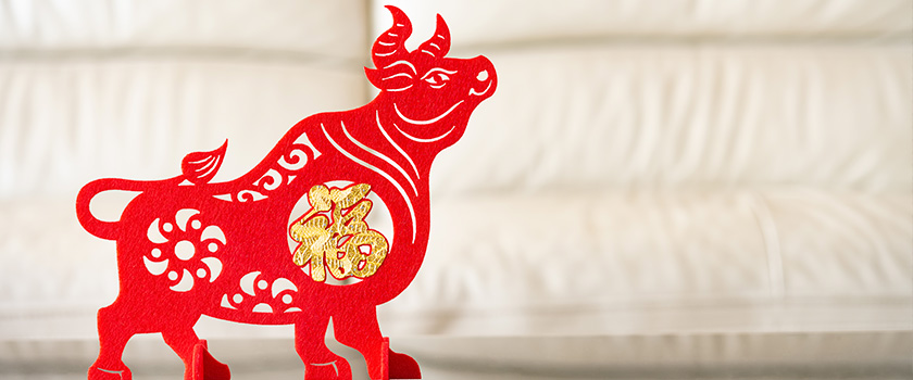 What will the year of the Ox hold for China?