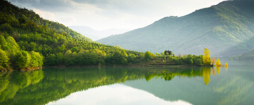 “Let’s Discuss Nature with Climate: Engagement Guide” published