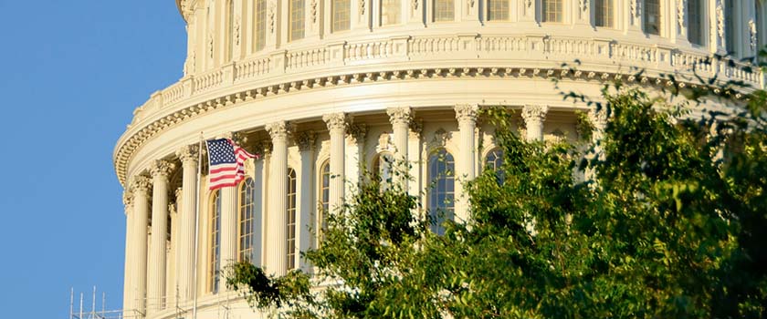 2024 US elections come into view