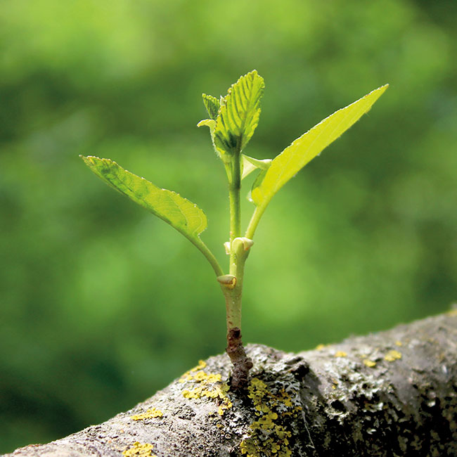 Impact Report 2024: Sustainable investment as relevant as ever