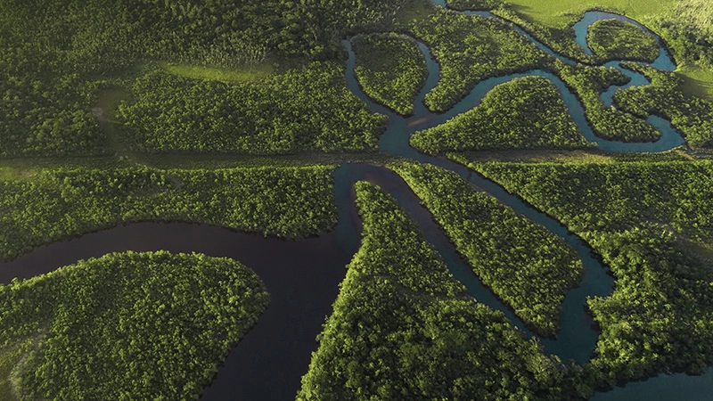 Impact report 2025: resilience in focus 