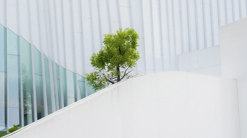 Sustainability as resilience