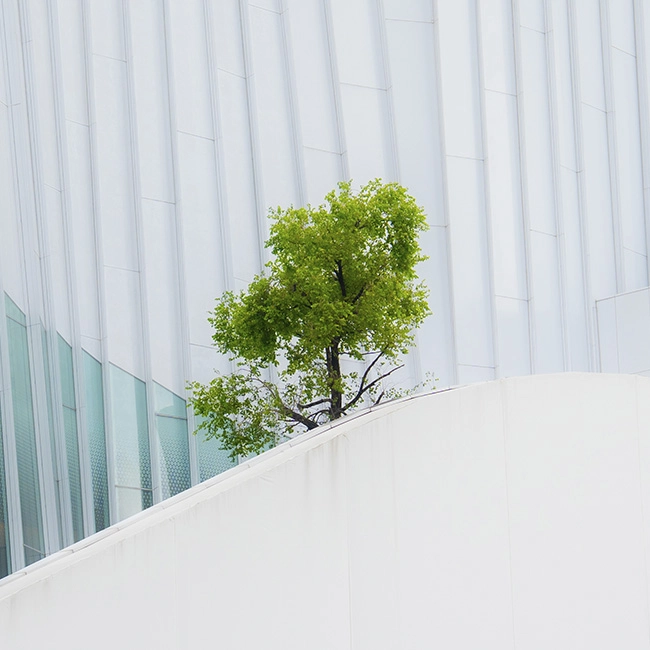 Sustainability as resilience