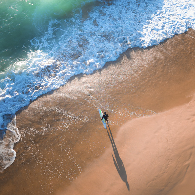 Insights and strategies for hedge fund success in a dynamic market