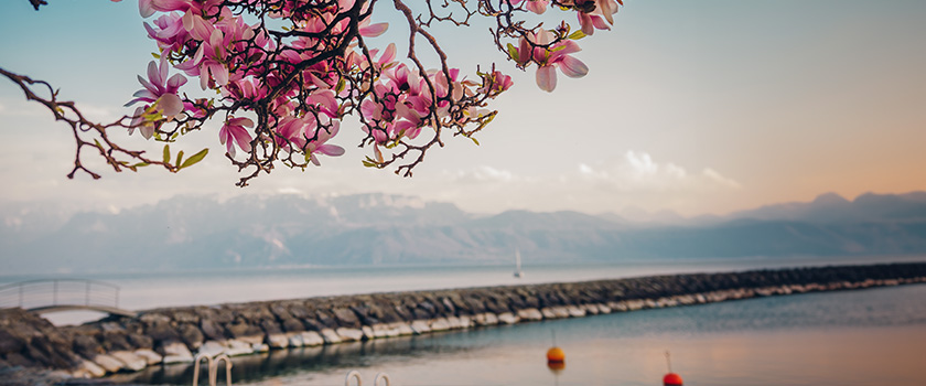 Two wealth management models, one shared future: what Switzerland and Asia can learn from each other