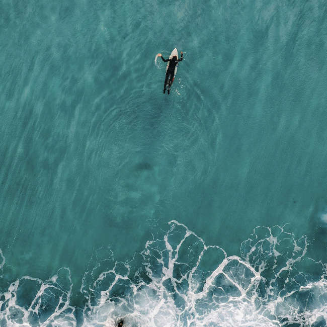 Hedge fund strategies show resilience amid market volatility