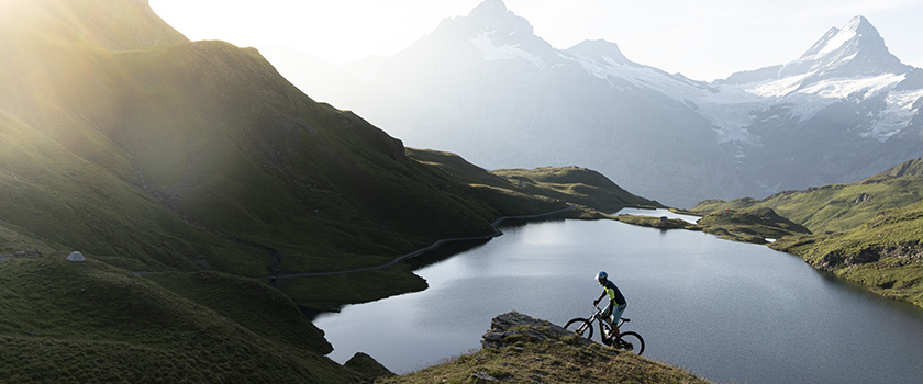 Swiss equities as a portfolio diversification enhancer