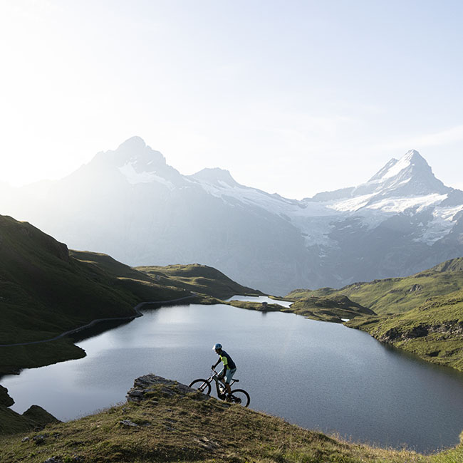 Swiss equities as a portfolio diversification enhancer