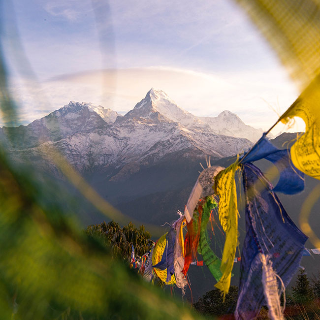 From peak to peak with patience and passion Image